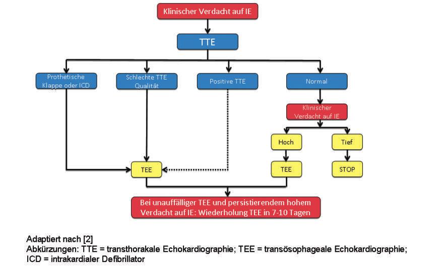 Abbildung 1 Indikationen für die Durchführung einer Echokardiographie bei Verdacht auf IE. und Bartonella spp. für knapp 30% der kulturnegativen Endokarditiden verantwortlich [58].
