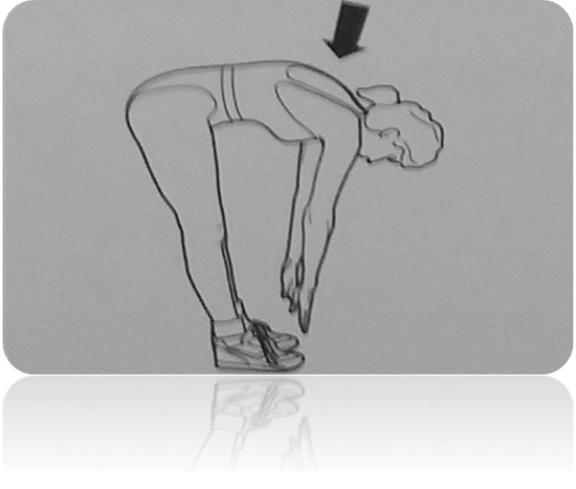 Hüftstrecker + Oberschenkelbeuger Die Füße schulterbreit parallel stellen, bei gestreckten Beinen den Oberkörper