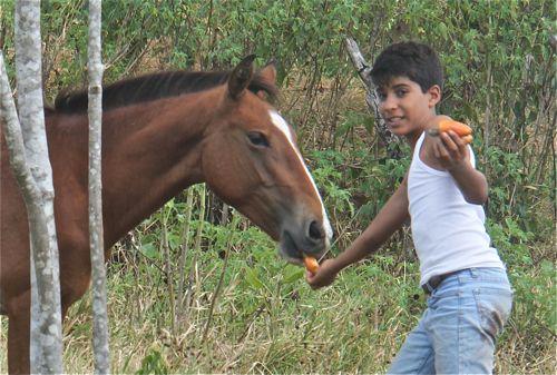Im Dorf umherlaufende Pferde sind in der Trockenzeit das größte Problem. Es fehlt ihnen nicht nur Gras, sondern auch Wasser.