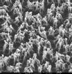 The SEM micrographs of the samples subjected to AIC and later to selective etching are shown in Fig.9.
