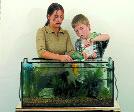 5 Fische Nachdem alle Pflanzen eingesetzt sind, können Sie das Aquarium mit Wasser auffüllen und den Wasseraufbereiter # nitrivec zugeben.