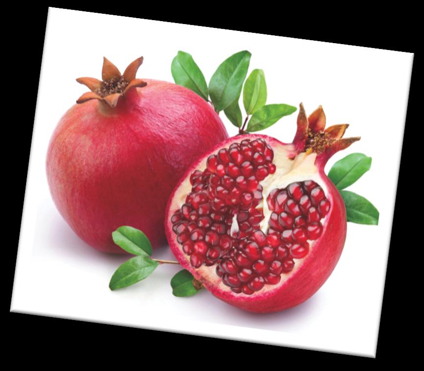 Granatapfel Elixier auch für Frauen Granatapfel ist auch bekannt als wirksames Elixier für die allgemeine Gesundheit von Frauen inkl.