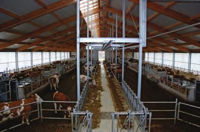 44 A. Böhm Automatisches Füttern in der Praxis Betriebsspiegel Entwicklung der Herdenleistung Neubau Milchviehstall Überlegungen / Entscheidungen bei Planung Automatisches Fütterungssystem