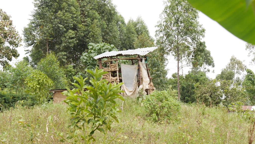 Für eine andere Familie konnte durch Extraspenden der Paten eine neue Toilette mit separatem Waschraum gebaut werden.