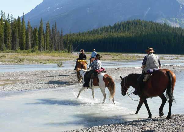 Tag Jasper Über die weite Prärielandschaft fahren wir in die Rocky Mountains. In Banff, dem wohl bekanntesten Ferienort in West- Kanada, gibt s den ersten Halt.