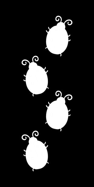 3 Sonnenkäferlied 1. Erst kommt der Sonnenkäferpapa, dann kommt die Sonnenkäfermama, und hintendrein ganz klitzeklein, die Sonnenkäferkinderlein.