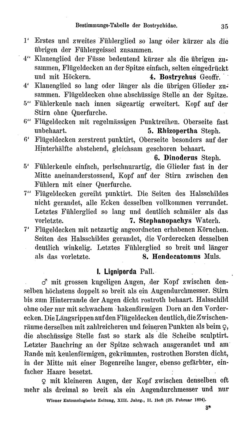 Bestimmungs-Tabelle der Bostrychidae. 35 1' Erstes und zweites Fülllerglied so lang oder kürzer als die übrigen der Fühlergeissel zusammen.
