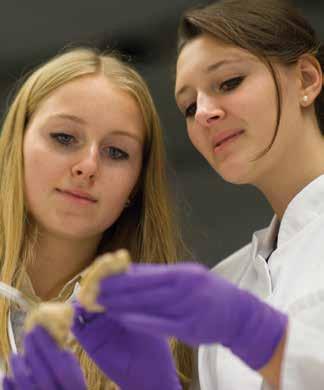Science (BMedSc Erfahrungen in einem anderen europäischen Gesundheitssystem (NHS) intensiver Kleingruppenunterricht in Kassel mit maximal 24 Studierenden pro Studienjahrgang Studiendauer von nur 5