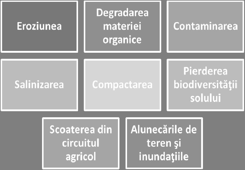 uvm studiu de pierdere în greutate