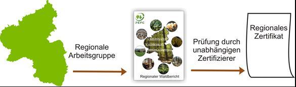 Regionaler PEFC-Waldbericht Rheinland-Pfalz 2015 10 1.2 Das Zertifizierungsverfahren im Überblick Bezugsebene für die Zertifizierung nach PEFC ist die Region.