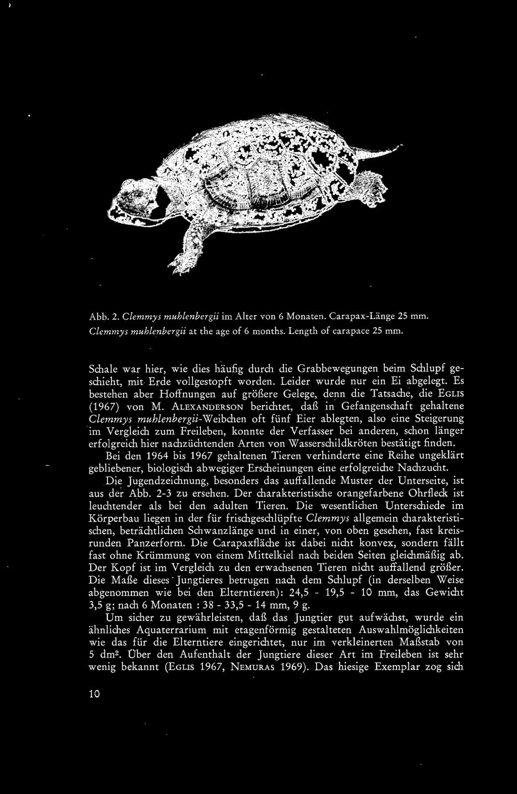 länger erfolgreich hier nachzüchtenden Arten von Wasserschildkröten bestätigt finden.