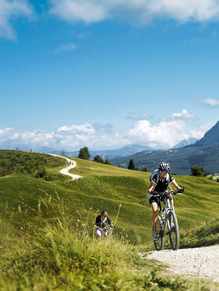 DAV Panorama 3/2012 Auf dem Rad rund um die Sella»Dolomiti Superbike«Von Traian Grigorian Wo im Winter das Skikarussell unaufhörlich kreist, dreht sich im Sommer das Rad: Sella Ronda mit dem