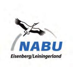Fledermäuse-Jäger der Nacht NABU Eisenberg/Leiningerland Workshop Wann: Freitag, 18.