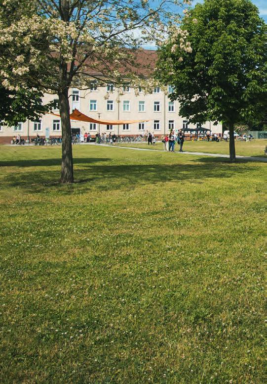Studieren im Grünen Mit freundlicher Unterstützung des Förderkreises des Standorts Stendal Connect You und Altmärkische Netzwerkkonferenz Mittwoch, 25.
