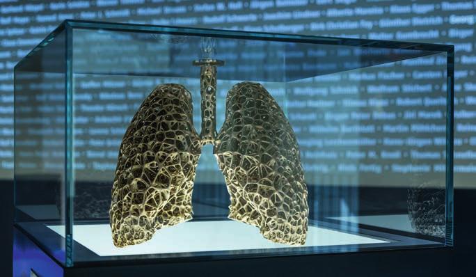 Künstlerisches Modell einer Lunge.