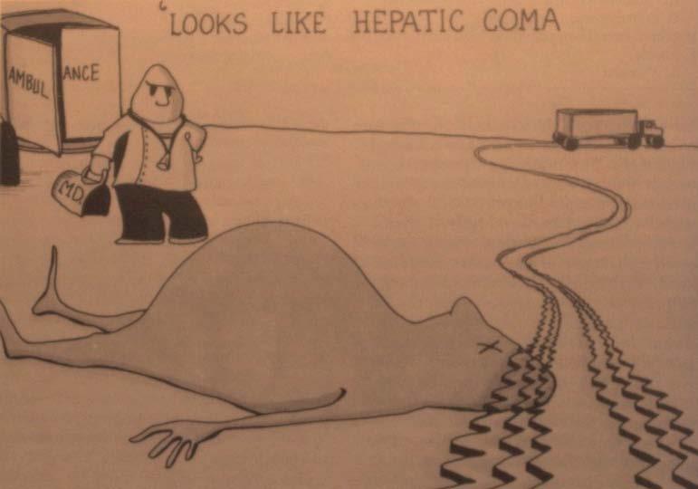 Coma hepaticum Blickdiagnose Conn HO & Lieberthal MM.