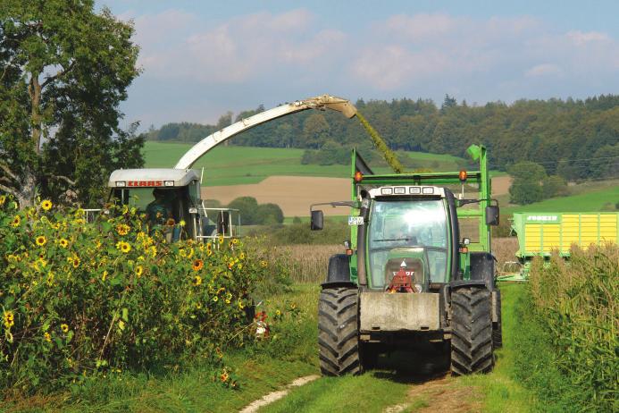 Im Kreis Konstanz nehmen von den insgesamt 31 Biogasbetrieben 12 Betriebe und somit fast 40% am Projekt teil. Zusätzliche Landwirte aus benachbarten Kreisen zeigen großes Interesse an diesem Projekt.
