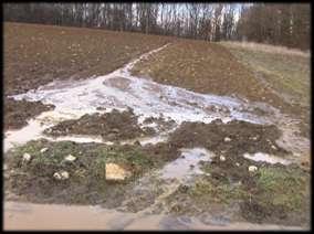 Oberflächengewässern; in Wasserschutzgebieten bei hoher Wildschadensgefährdung (