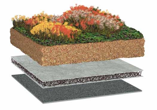 Standard oder leicht - Gründach-Pakete, die es in sich haben Garagen, Carports und alle anderen Kleinflächen lassen sich mit den Bauder Gründach-Paketen sicher und preiswert extensiv begrünen.