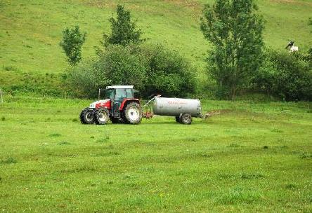 Eckpunkte einer ertragsbetonten GL-Bewirtschaftung Gräser Im ertragsbetonten Grünland müssen in erster Linie all jene Maßnahmen ergriffen werden, welche zur Förderung der Gräser beitragen.
