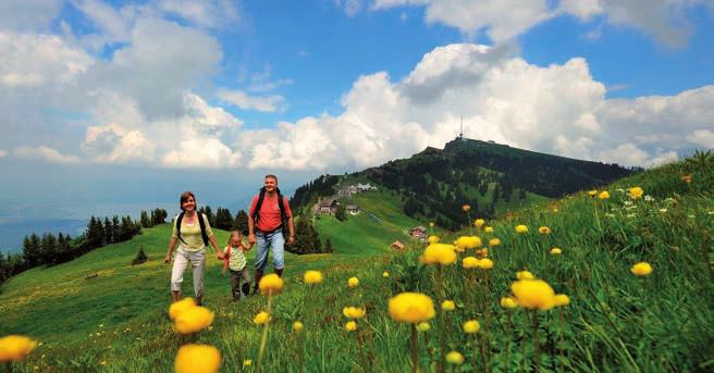 Ermässigtes Rigi Königin der Berge. Rauf ins Vergnügen. Geniessen Sie das atemberaubende Panorama auf Alpen, Mittelland und Seen.