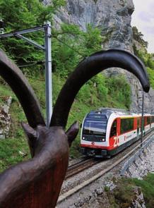 Freizeittipps. Brünig-Safari der Zentralbahn. Die spannende Entdeckungsreise. Entlang der Strecke zwischen Giswil und Meiringen sind 13 lebensgrosse Holztiere der Brünig-Safari ausgestellt.