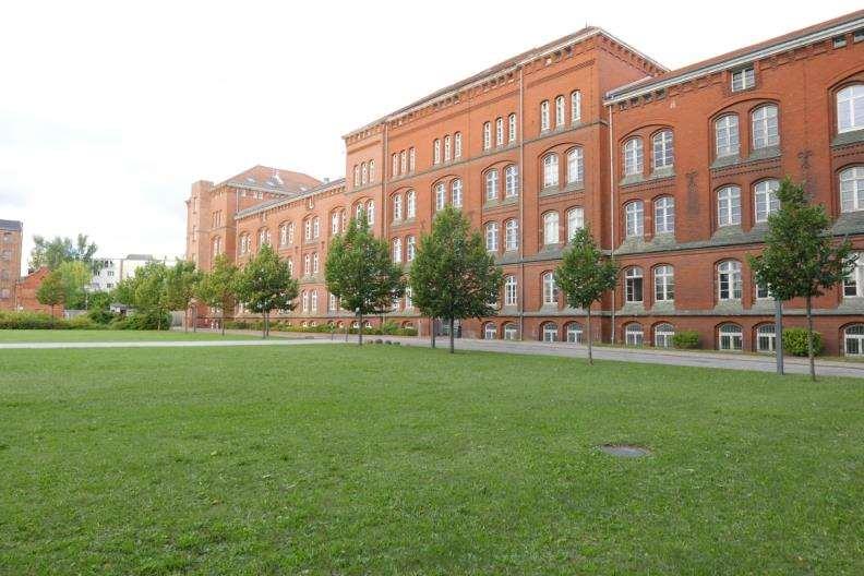 Universität Rostock, Hochschulbau Entwicklung Campus
