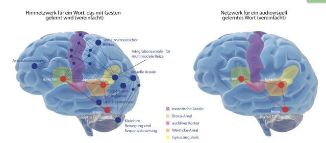 Zusammenfassung 1. Lernen = Aufbau von neuronalen Netzen 2. Voraussetzung: limbisches System 3. Die Methode des Unterrichtens/Lernens gibt es nicht 4.