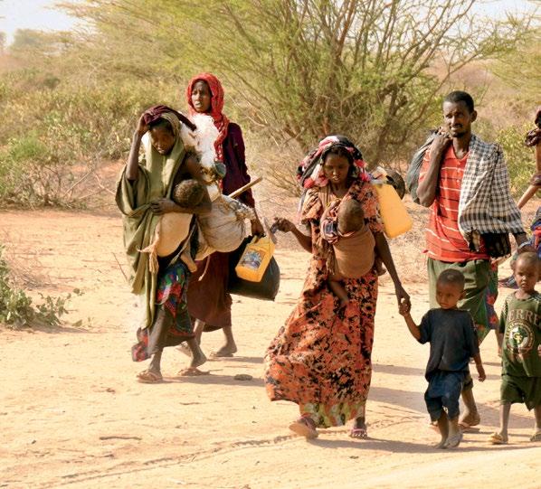 Dem Hunger entfliehen Über 1.000 neue Flüchtlinge im kenianischen Flüchtlingslager Dadaab pro Tag Die Dürrekatastrophe am Horn von Afrika löste eine Fluchtwelle nach Dadaab aus mit mehr als 500.