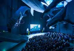 sein. Unter den Walen gibt es auf einer großen Leinwand den französischen Spielfilm»Jacques Entdecker der Ozeane«zu sehen. 1949: Jacques Cousteau (L. Wilson) und seine Frau Simone (A.