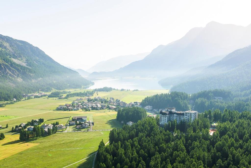 Willkommen im Waldhaus! 10 km vom mondänen St. Moritz: ein grosses Haus mit Geschichte, aber ohne Starallüren behaglich, familienfreundlich, persönlich! Die Lage ist ein Traum.