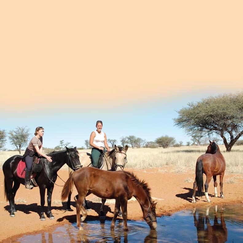 Reiten Ausritte in die Wildnis. Die Weite der Kalahari und der durch Pferd & Reiter unmittelbare Kontakt zum Wild wird Sie begeistern.