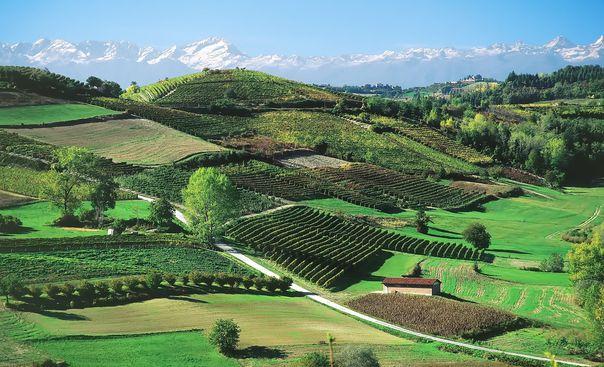 Sternradtour Piemont REISEBESCHREIBUNG Italiens kulinarischer Geheimtipp. Entdecken Sie auf dieser Sternradtour die charmante Region Canavese, gut erreichbar zwischen Lago Maggiore und Turin.