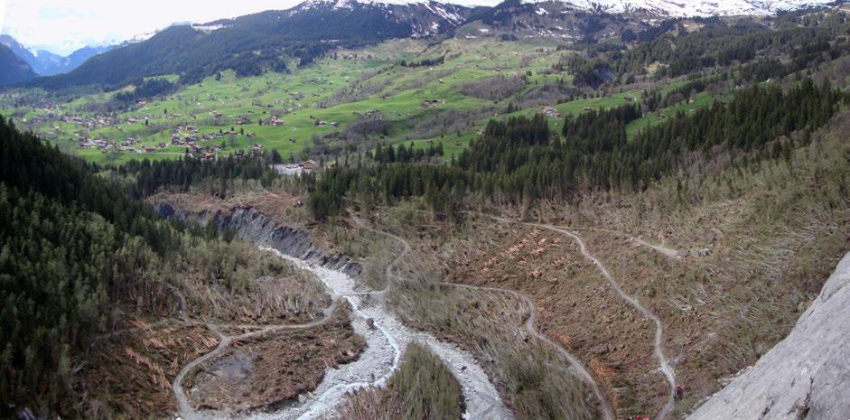 Abbildung 29: Die Wechsellaui am Mättenberg (Grindelwald/BE) richtete grossen Waldschaden an. Der Lawinenabgang ereignete sich am 23. Dezember. Rund 8 Hektar Wald wurden zerstört.