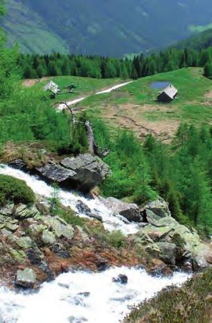 Radfahrer können das herrliche Tal bis zur Granglerhütte und Ulnhütte befahren.