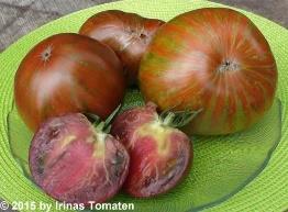Beauty King. Früchte sind mittelgroß, grün-braun gestreift, saftig, fleischig, würzig, wiegen ca. 180-300 Gramm.