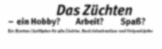 Wir haben Ihnen hier einige Punkte aufgelistet, die bei einer Zucht unbedingt beachtet werden sollten: Nehmen Sie sich viel Zeit. Die Hundezucht ist sehr zeitaufwendig.