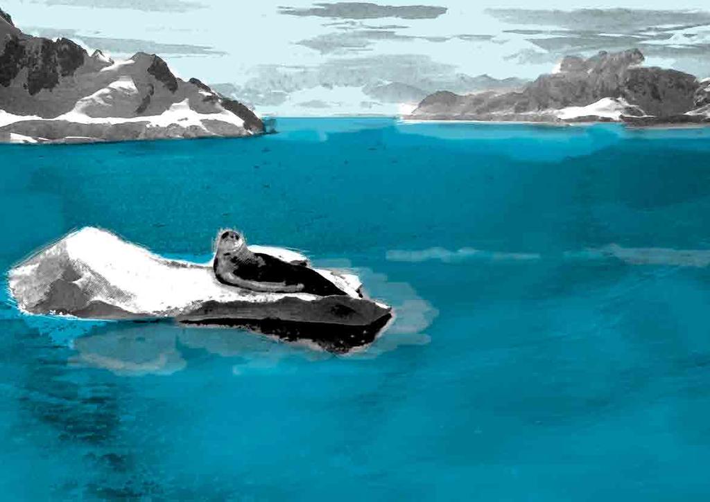 6 Plastikpiraten Das meer beginnt hier! Die Polargebiete Die Arktis und Antarktis gehören zu den kältesten, windigsten, dunkelsten und stürmischsten regionen unserer erde.