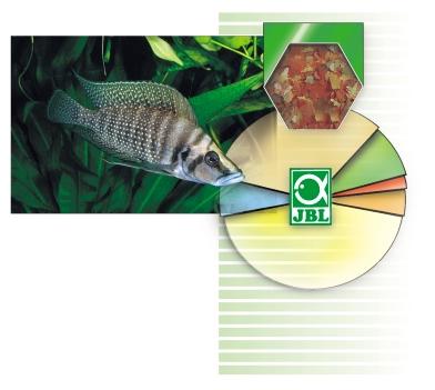 Lipide oder Fette Die Fette verdienen besondere Beachtung in der Ernährung der Aquarienfische.