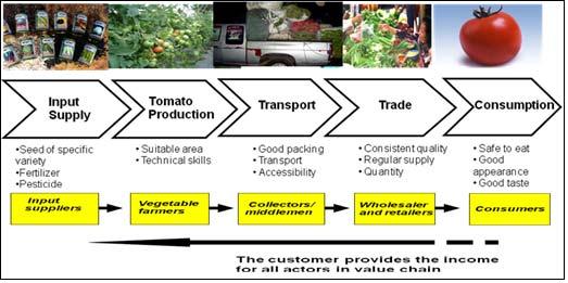 Abb.8: Tomaten-WSK in Siem Reap Quelle: EDWIN DE KORTE (DED): Powerpointpräsentation Zunächst werden auf der Stufe des input supplies vom DED vermeintlich geeignete Samen, Dünger und