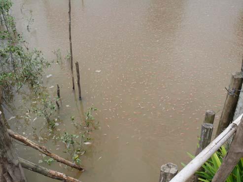 Quelle: CARO REINECKE Quelle: CARO REINECKE Hochwasserschutz Flood Management & Mitigation Programme Hochwasserprävention und Hochwassereindämmung reduzieren menschliche Leiden und ökonomische