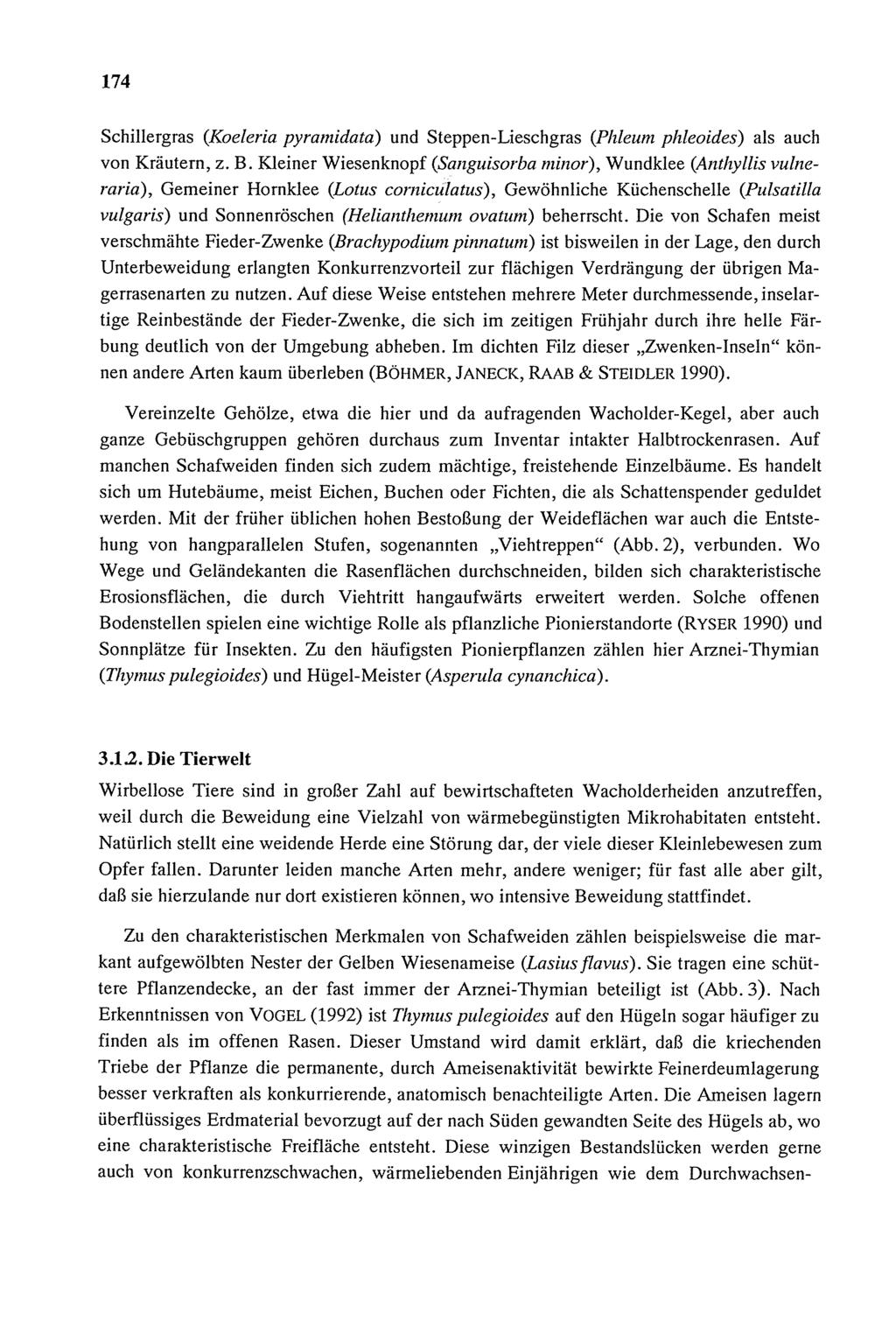174 Schillergras (Koeleria pyramidata) und Steppen-Lieschgras (Phleum phleoides) als auch von Kräutern, z. B.