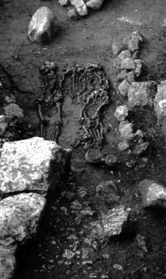 Die menschlichen Überreste der 1999 und 2003 am Putzenkopf bei Hallein Dürrnberg geborgenen Gräber 344 und 376 wurden zur wissenschaftlichen Untersuchung in die Anthropologische Abteilung des