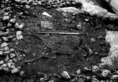 Kasuistik #2: Das Grab 376 Die Bestattung 376 (Putzenfeld am Dürrnberg, Hallein) wurde im Jahr 2003 archäologisch erschlossen (siehe Abb. 5 und 6).