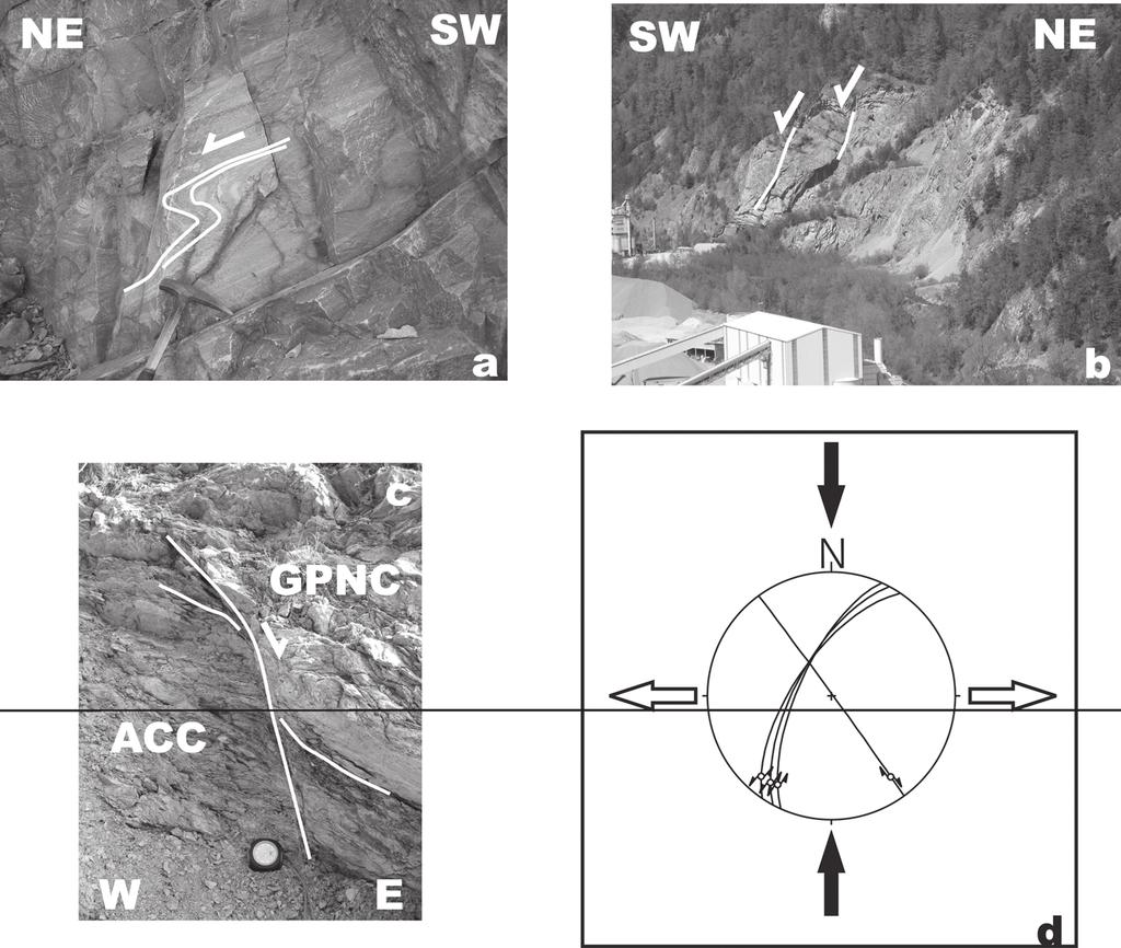 5. Tectonic structure The tectonostratigraphic analysis of the study area (Fig.