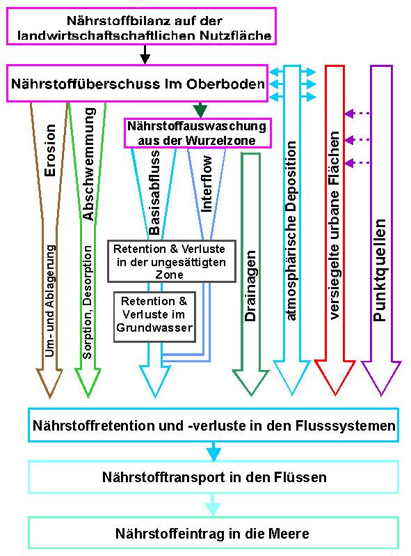 1999 Abbildung 1: MONERIS - Eintragspfade Das im Auftrag des Umweltbundesamtes entwickelte Bilanzmodell MONERIS wurde von der LUBW für die Anwendung in Baden-Württemberg weiterentwickelt, so dass es