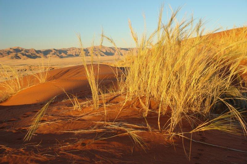 Desertec zur ökologischen Dimension Bis 2050 10 Milliarden Menschen auf der Erde -> hohe Beanspruchung der Ressourcen Wüsten der Erde empfangen in weniger als 6