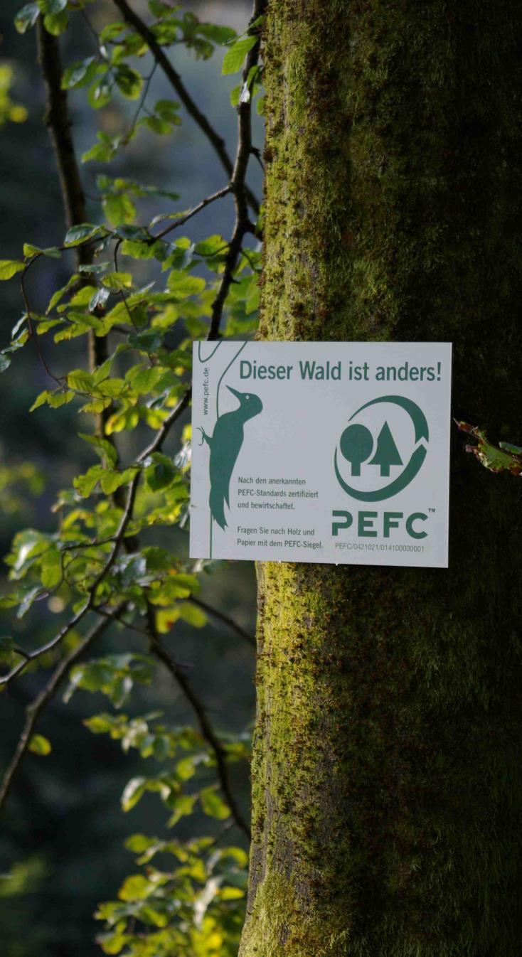 Regionenoffensive Helfen Sie mit, PEFC und das PEFC-Logo bekannter zu machen die Akzeptanz von PEFC bei Unternehmen in der