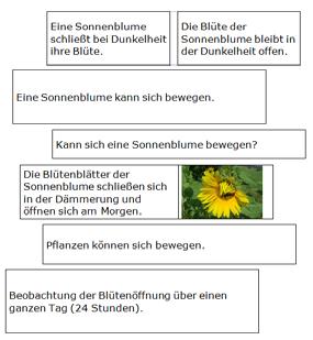 bik - Arbeitsgruppe Bayern Autoren: Truernit, L., Rehbach, R., Hager, K., Rach-Wilk, N., Dieckmann, R., Hoernig, J.
