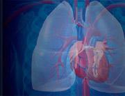 Pulmonale Hypertonie Optimierung der Versorgungsnetzwerke für Patienten mit pulmonaler Hypertonie - Pulmonale Hypertonie ist eine seltene und lebensbedrohliche Erkrankung - Häufig verzögerte